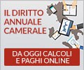 Progetto "Pre ruolo" per le sanzioni del diritto annuale