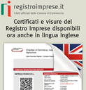 banner visure in inglese