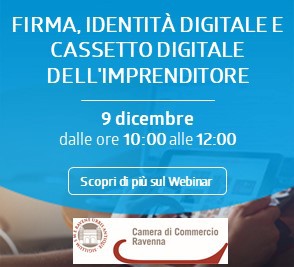 Webinar 9 dicembre 2020 Servizi digitali Webinar 9 dicembre 2020 Servizi digitali