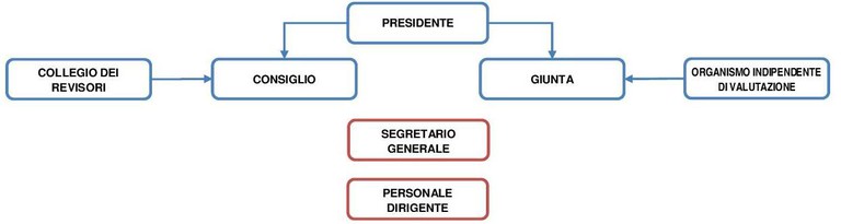 Organi