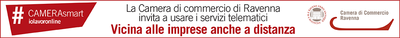 Banner Servizi online registroimprese.it Banner Servizi online registroimprese.it