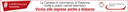 Banner Servizi online registroimprese.it