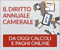 Calcola e paga il diritto annuale 2022 in pochi click