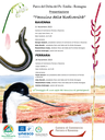 Presentazione Taccuino della Biodiversità