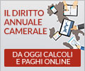 Scadenze diritto annuale 2023
