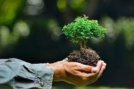 Webinar gratuiti su tematiche ambientali 9 e 25 ottobre