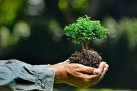 Webinar gratuiti su tematiche ambientali 9 e 25 ottobre
