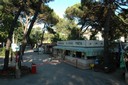 villaggio pineta