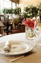 adriatic golf rest