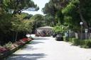 rivaverde