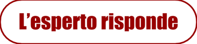 logo l esperto risponde logo l esperto risponde