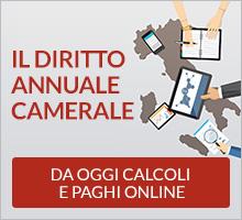 Diritto Annuale 2023