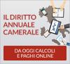 Diritto Annuale 